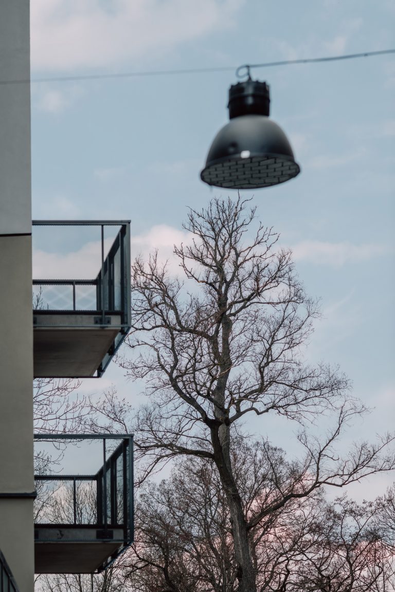 _DSC3098_fot_klaudyna_schubert