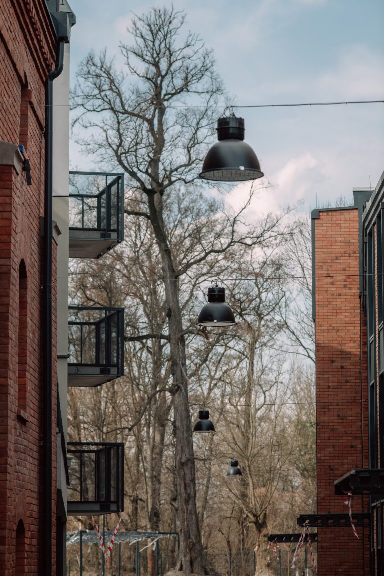 _DSC3101_fot_klaudyna_schubert